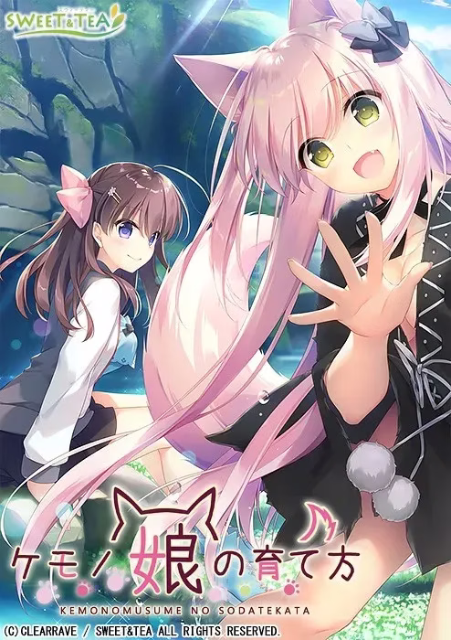 1 1